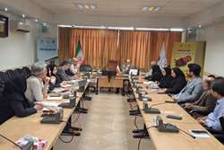 جلسه هماهنگی برنامه پزشکی خانواده روستایی و نظام ارجاع الکترونیک